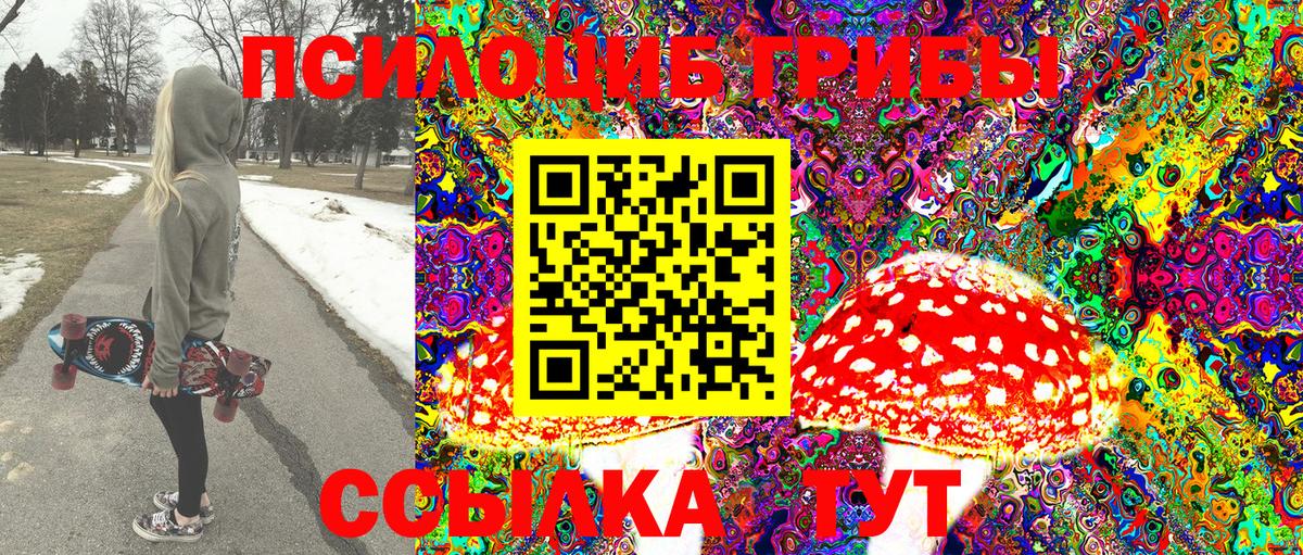 Берёзовский  Галлюциногенные грибы Psilocybine cubensis  Вход с VPN 